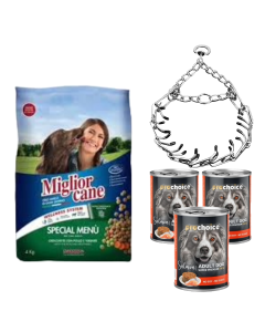 Pack Pour Chien : Croquette & Pâté & Collier De Dressage 