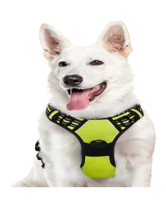 Harnais pour Grands Chiens