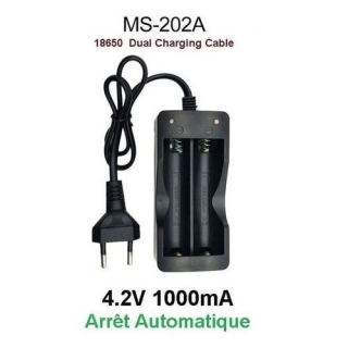 Chargeur de Pile Rechargeable 18650 3.7V 4.2V