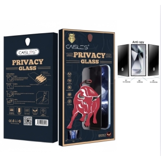 Caisles Film Glass Fumé Pour Samsung Galaxy S24 Ultra 9H Privacy