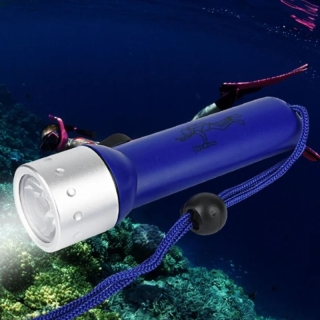 Torche Sous Marine Professional Flashlight - bleu