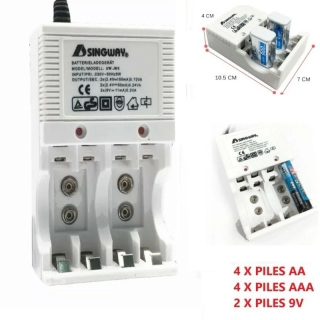 Chargeur de Pile Rechargeable SINGWAY 3-en-1 Pile AA / AAA & 9V