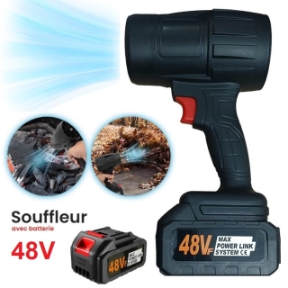 Souffleur d'air 300W avec 2 Batteries rechargeables (2 X 48V)