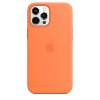 Coque en silicone pour Apple iPhone 12/12 Pro avec MagSafe Orange