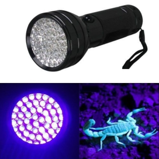 Lampe LED UV de PocheTorche pour Camping