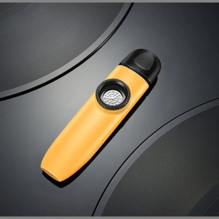 Instrument à Vent Kazoo Jaune