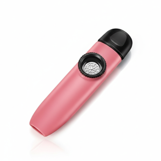 Instrument à Vent Kazoo