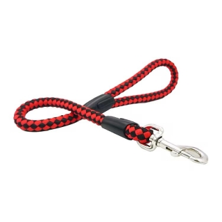 laisse pour chien