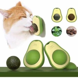 Catnip Avocado