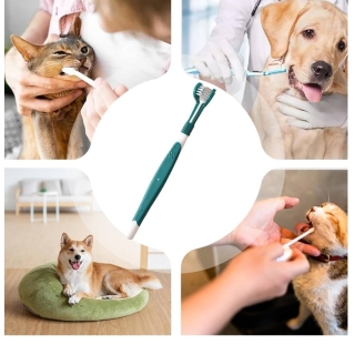Brosse à dents 3 faces pour animaux – Hygiène optimale pour chiens, chats et petites race