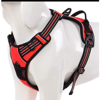 Harnais pour chien – Taille XL, couleur orange fluorescent, élégant, durable et sécurisé