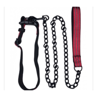 Laisse et collier chien