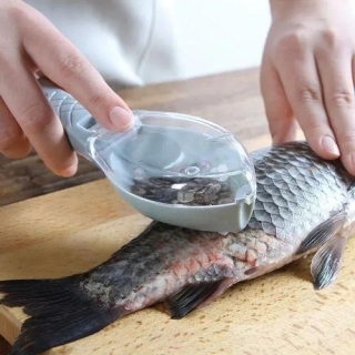 Grattoir pour écailles de poisson, outil pratique pour un nettoyage rapide et efficace