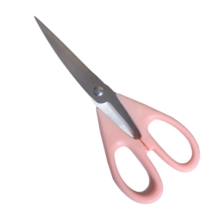 Ciseaux de Cuisine 20 cm en Acier Inoxydable