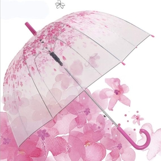 Parapluie en fleurs transparent