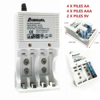 Chargeur de Pile Rechargeable SINGWAY 3-en-1 Pile AA / AAA & 9V