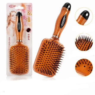 Brosse à Cheveux
