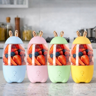 Mini Mixeur A Jus De Fruits - Smoothies