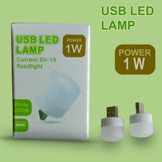 Kit de 2 Mini Veilleuses LED USB 1W Lumière Blanche