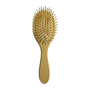 Brosse à Cheveux Pneumatique en Bois