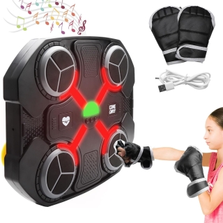 Machine de Boxe Musicale Rechargeable avec Bluetooth