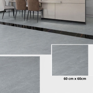 Pack de 10 Carreaux PVC Autocollants pour Sol – 60 × 60 cm – Gris Finition Mate - Modèle 6610