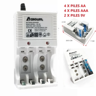 Chargeur de Pile Rechargeable AA AAA 9V
