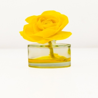 Désodorisant flower 90ml CITRON TDOY