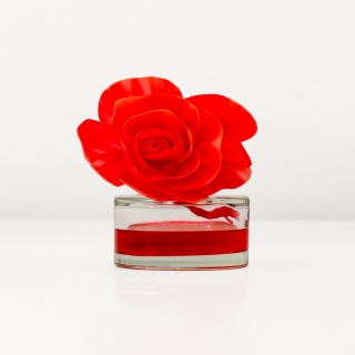 Diffuseur d'arômes Désodorisant flower 90ml Fruits Rouges TDOY