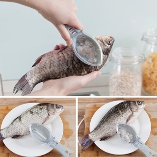 Grattoir à Ecailles de Poisson