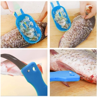 Grattoir à écailles de poisson en Acier Inoxydable 3 en 1