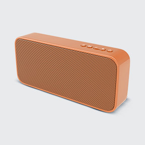 Haut-Parleur Portable